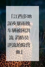江西多地深夜暴雨致车辆被困洪流 消防员逆流抢险营救