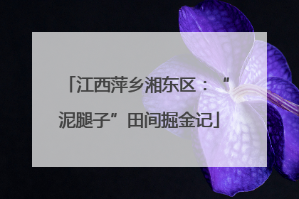 江西萍乡湘东区：“泥腿子”田间掘金记