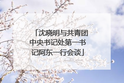 沈晓明与共青团中央书记处第一书记阿东一行会谈