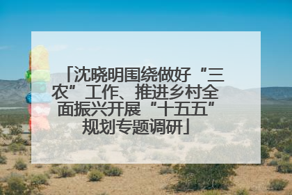 沈晓明围绕做好“三农”工作、推进乡村全面振兴开展“十五五”规划专题调研
