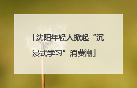 沈阳年轻人掀起“沉浸式学习”消费潮