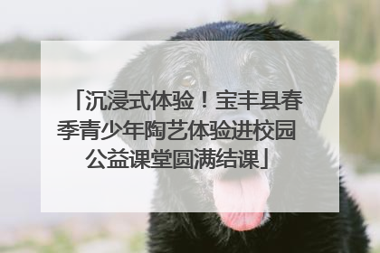 沉浸式体验！宝丰县春季青少年陶艺体验进校园公益课堂圆满结课