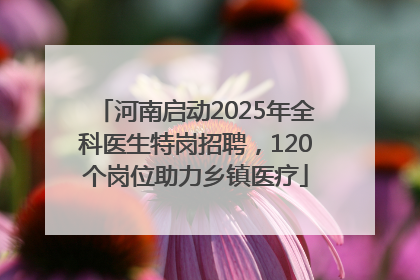 河南启动2025年全科医生特岗招聘，120个岗位助力乡镇医疗