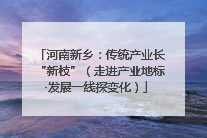 河南新乡：传统产业长“新枝”（走进产业地标·发展一线探变化）