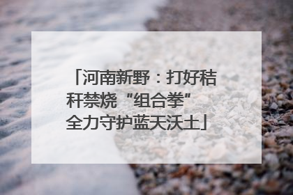 河南新野：打好秸秆禁烧“组合拳” 全力守护蓝天沃土