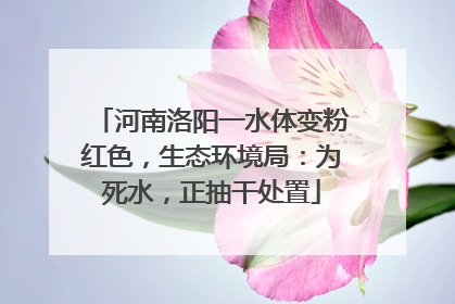 河南洛阳一水体变粉红色，生态环境局：为死水，正抽干处置