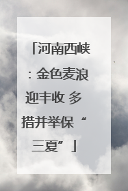 河南西峡：金色麦浪迎丰收 多措并举保“三夏”