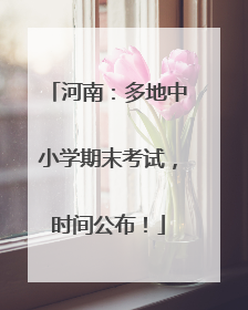 河南：多地中小学期末考试，时间公布！