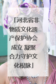河北省非物质文化遗产保护协会成立 凝聚合力守护文化根脉