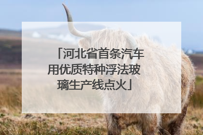 河北省首条汽车用优质特种浮法玻璃生产线点火