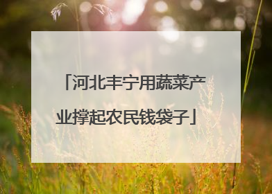 河北丰宁用蔬菜产业撑起农民钱袋子