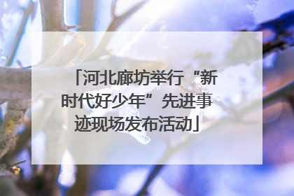 河北廊坊举行“新时代好少年”先进事迹现场发布活动