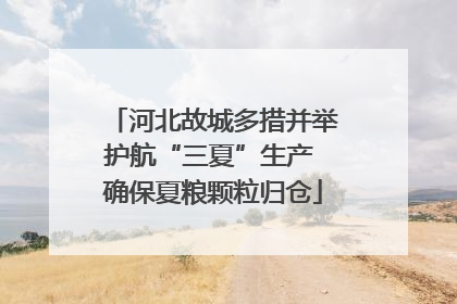 河北故城多措并举护航“三夏”生产 确保夏粮颗粒归仓