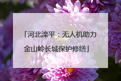 河北滦平：无人机助力金山岭长城保护修缮