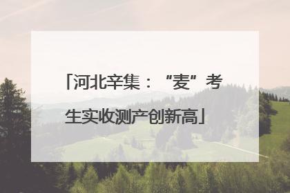 河北辛集：“麦”考生实收测产创新高