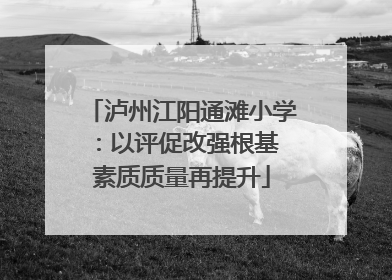 泸州江阳通滩小学：以评促改强根基 素质质量再提升