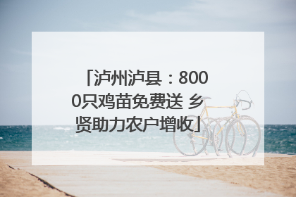 泸州泸县：8000只鸡苗免费送 乡贤助力农户增收