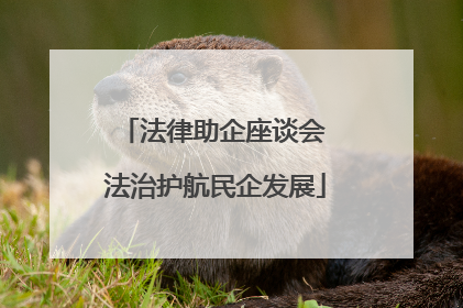 法律助企座谈会 法治护航民企发展