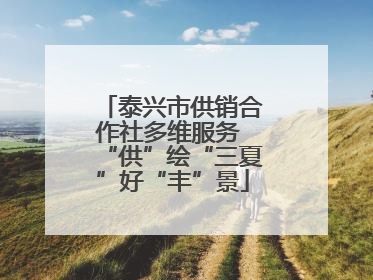 泰兴市供销合作社多维服务 “供”绘“三夏”好“丰”景