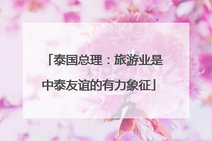 泰国总理：旅游业是中泰友谊的有力象征