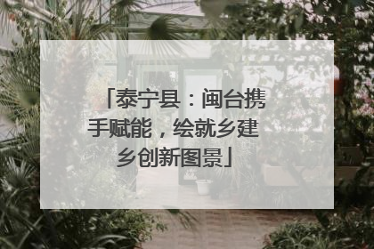 泰宁县：闽台携手赋能，绘就乡建乡创新图景
