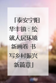 泰安宁阳华丰镇：绘就人居环境新画卷 书写乡村振兴新篇章