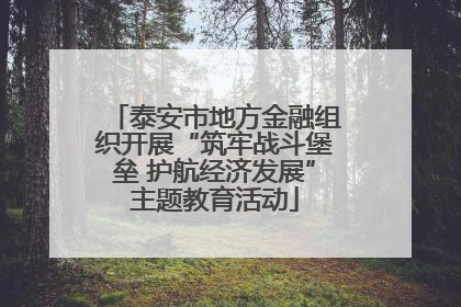 泰安市地方金融组织开展“筑牢战斗堡垒 护航经济发展”主题教育活动