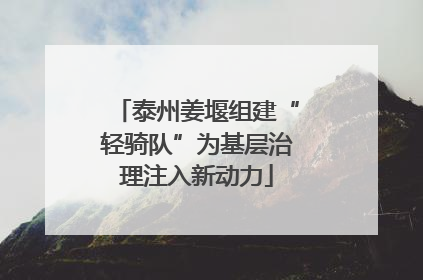 泰州姜堰组建“轻骑队”为基层治理注入新动力