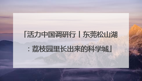 活力中国调研行丨东莞松山湖：荔枝园里长出来的科学城