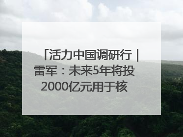 活力中国调研行｜雷军：未来5年将投2000亿元用于核心技术研发