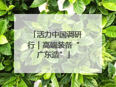 活力中国调研行｜高端装备“广东造”