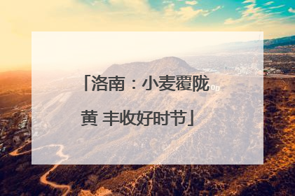 洛南：小麦覆陇黄 丰收好时节