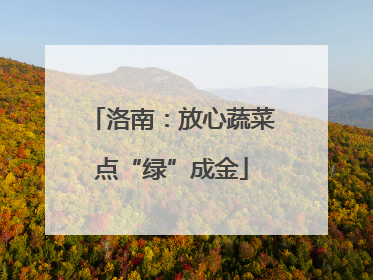 洛南：放心蔬菜点“绿”成金