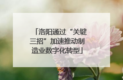 洛阳通过“关键三招”加速推动制造业数字化转型