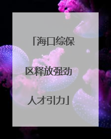 海口综保区释放强劲人才引力