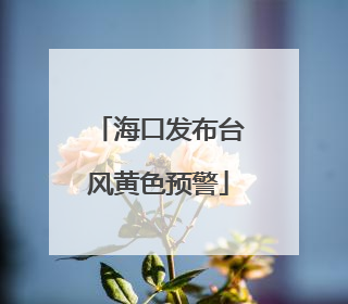 海口发布台风黄色预警