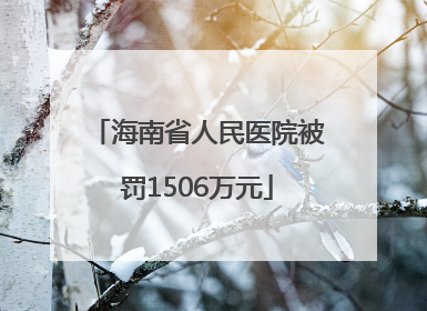 海南省人民医院被罚1506万元