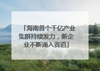 海南首个千亿产业集群持续发力，新企业不断涌入赛道