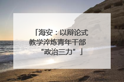 海安：以辩论式教学淬炼青年干部“政治三力”