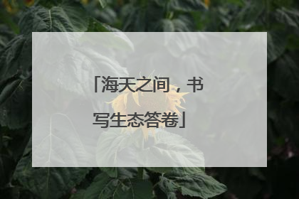 海天之间，书写生态答卷