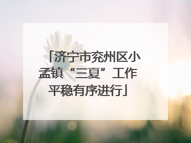 济宁市兖州区小孟镇“三夏”工作平稳有序进行