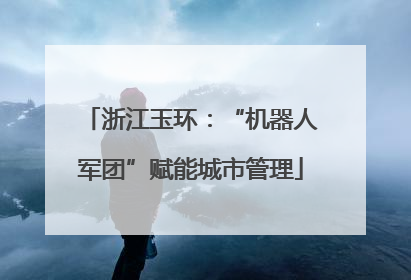 浙江玉环：“机器人军团”赋能城市管理