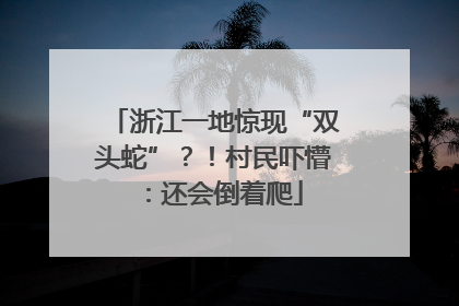 浙江一地惊现“双头蛇”？！村民吓懵：还会倒着爬