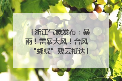 浙江气象发布：暴雨！雷暴大风！台风“蝴蝶”残云抵达