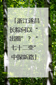 浙江遂昌长粽何以“出圈”？“七十二变”中探新路