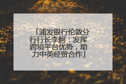 浦发银行伦敦分行行长李舸：发挥跨境平台优势，助力中英经贸合作