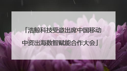浩鲸科技受邀出席中国移动中资出海数智赋能合作大会