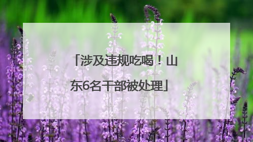 涉及违规吃喝！山东6名干部被处理