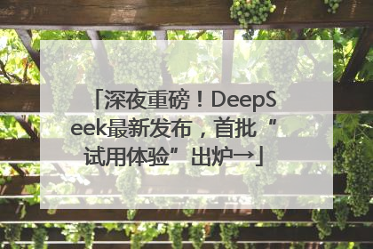 深夜重磅！DeepSeek最新发布，首批“试用体验”出炉→