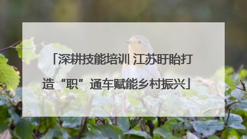 深耕技能培训 江苏盱眙打造“职”通车赋能乡村振兴
